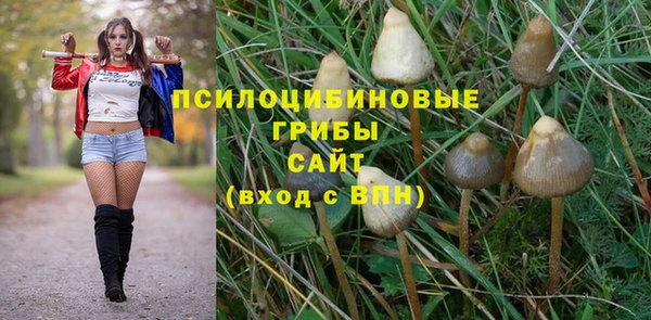 ALPHA PVP Арсеньев