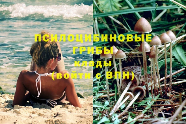 марки nbome Аркадак