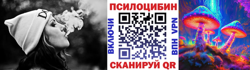 Псилоцибиновые грибы Cubensis MEGA ссылки Славгород